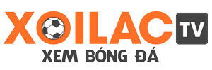 đấm bốc